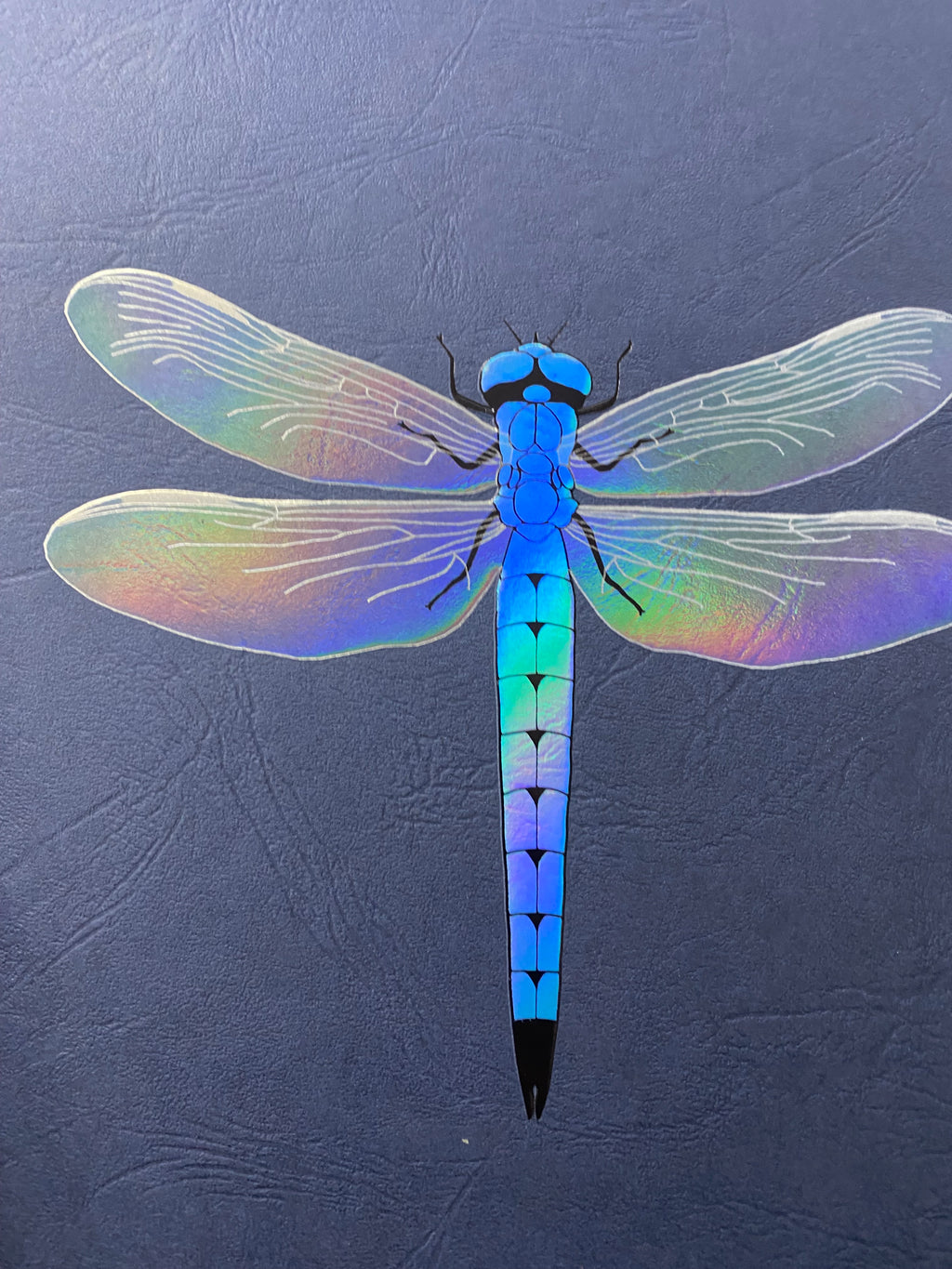 Dragonfly with iridescent wings on a textured blue background