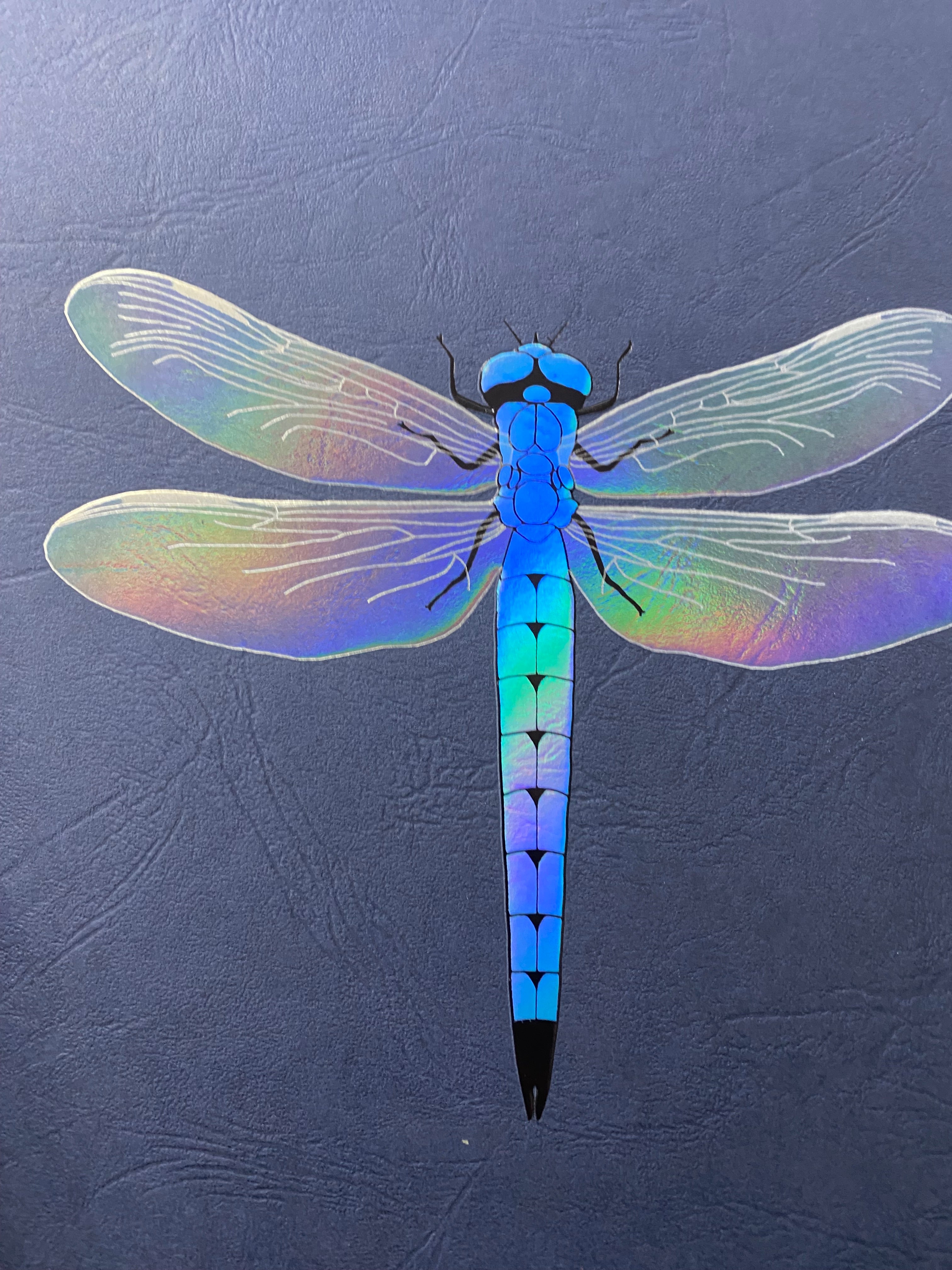 Dragonfly with iridescent wings on a textured blue background