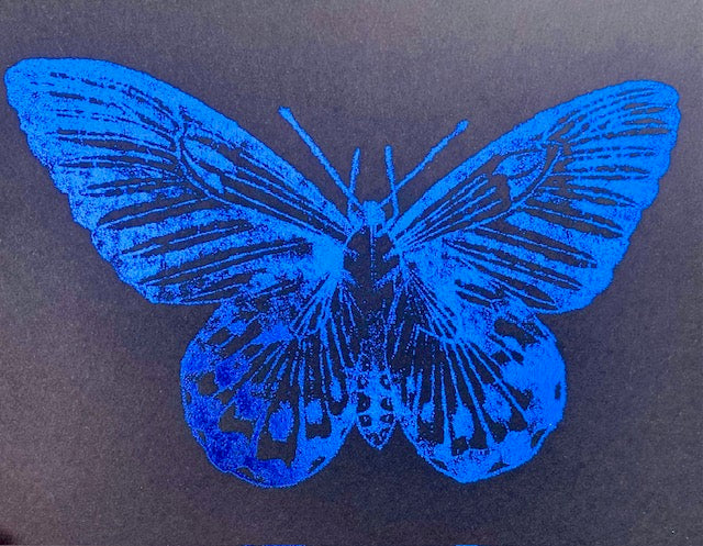 Blue butterfly design on a dark background