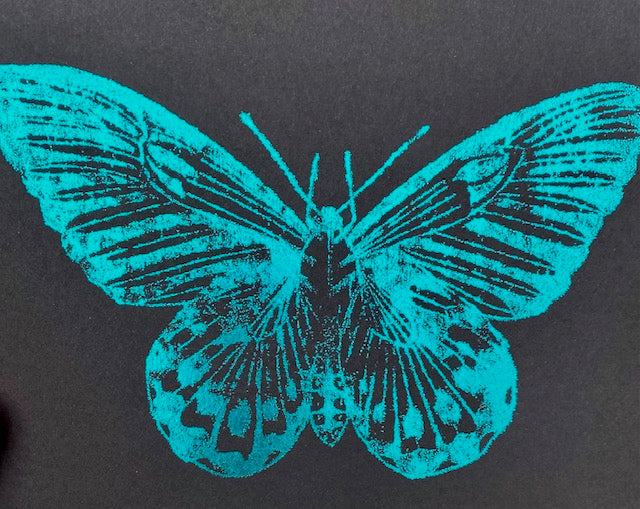 Turquoise butterfly design on a black background