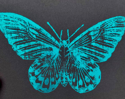 Turquoise butterfly design on a black background