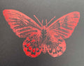 Red butterfly design on a black background