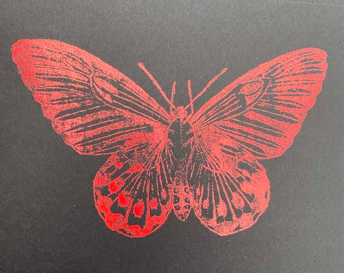 Red butterfly design on a black background