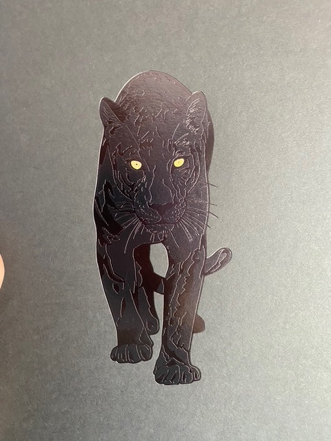 The Shadow Assassin