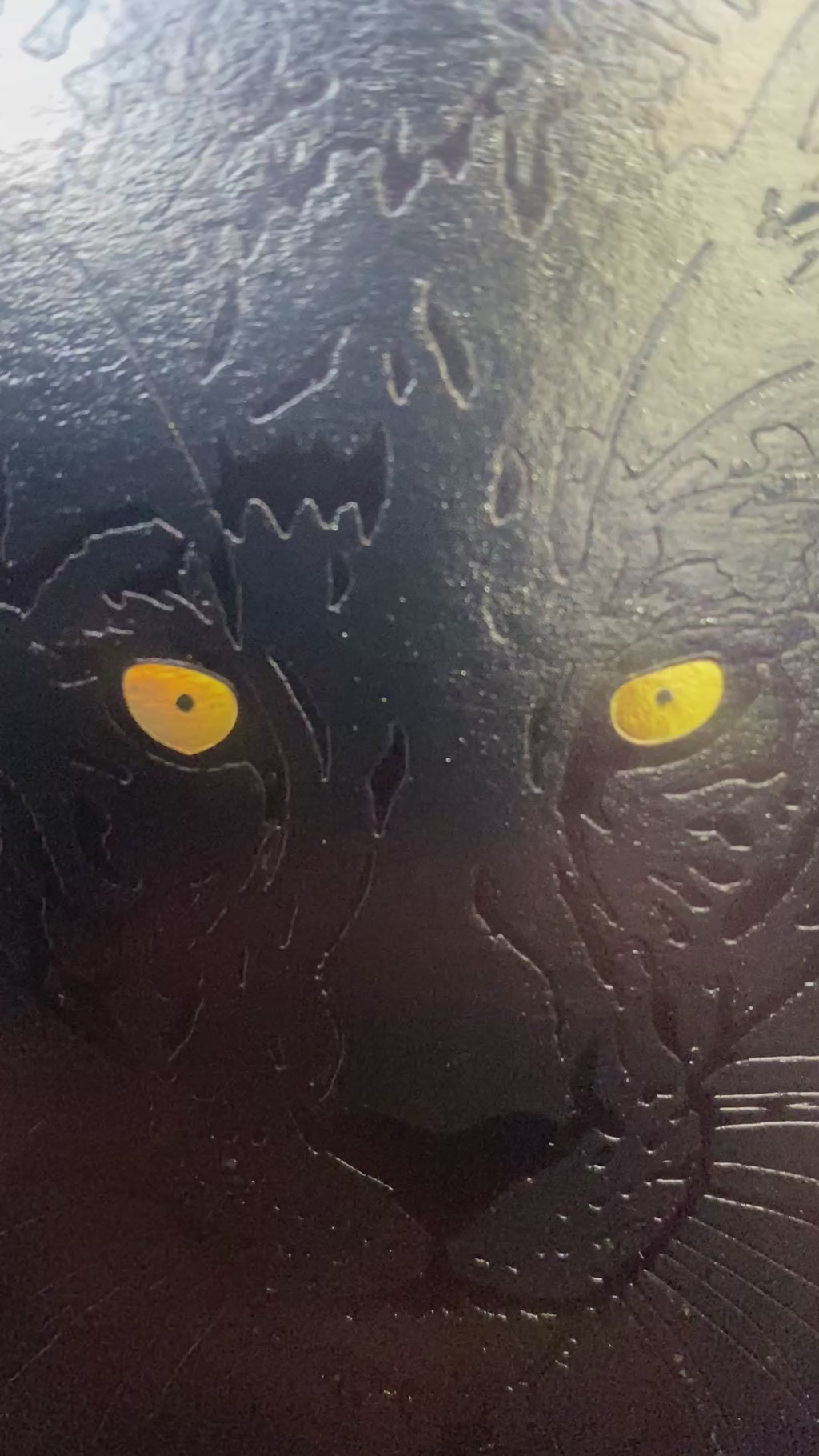 The Shadow Assassin